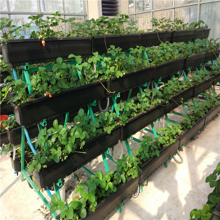 漯河草莓立体种植槽厂家直销无土栽培工程用栽培槽