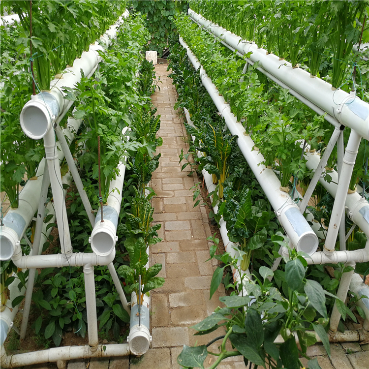 技术   无土栽培a型架栽培模式    博云农业无土栽培草莓立体种植槽